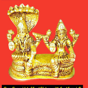 Vishnu Laxmi