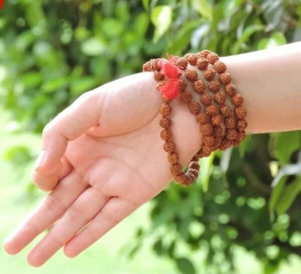 Original Rudraksha Mala - Image 4