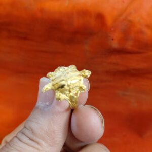 Tortoise Brass Ring