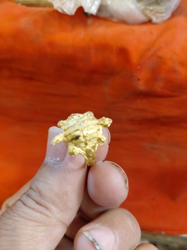 Tortoise Brass Ring