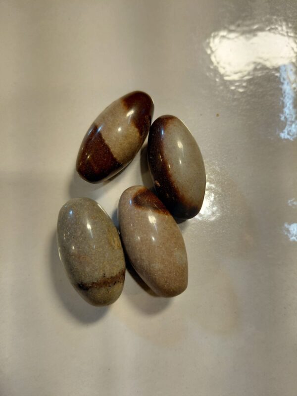 Original Narmadeshwar ( only 1 piece )